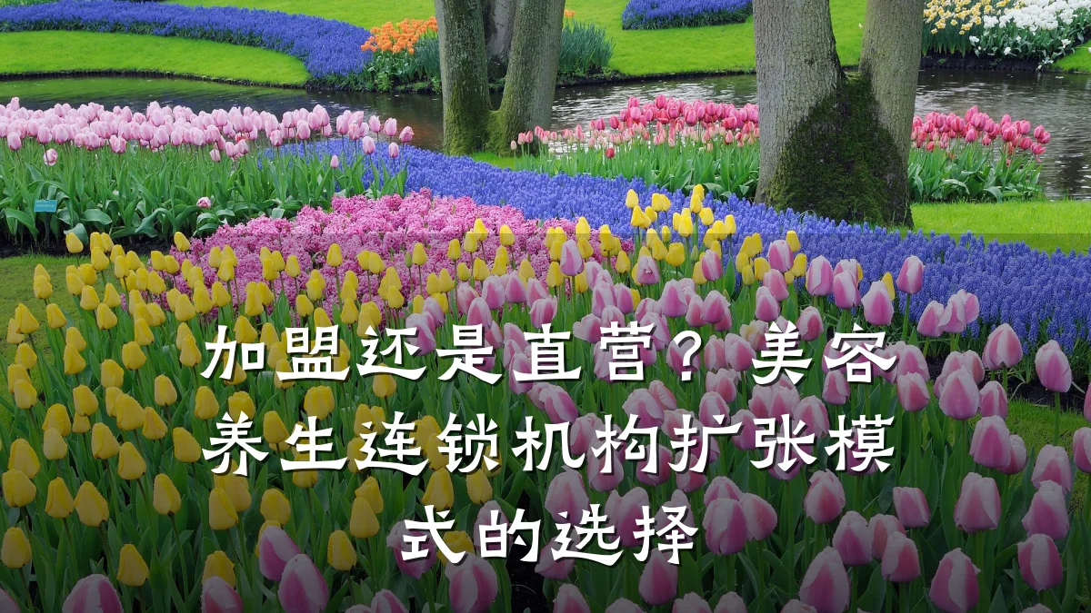 加盟还是直营?美容养生连锁机构扩张模式的选择
