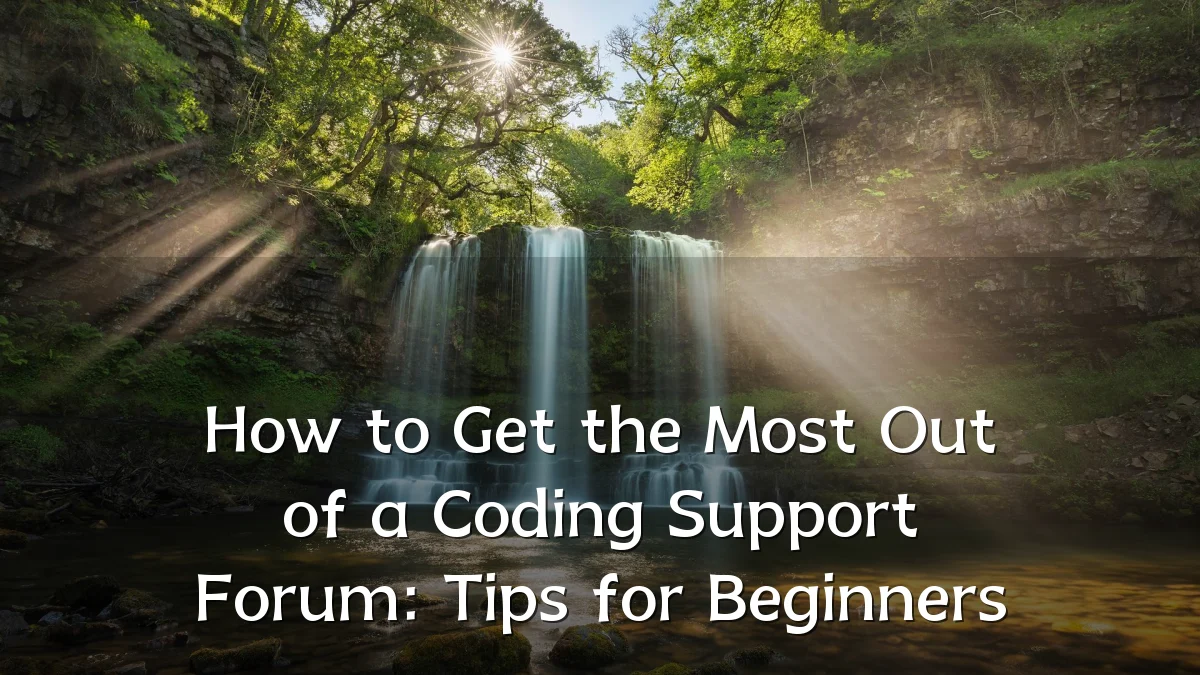 How to Get the Most Out of a Coding Support Forum: Tips for Beginners