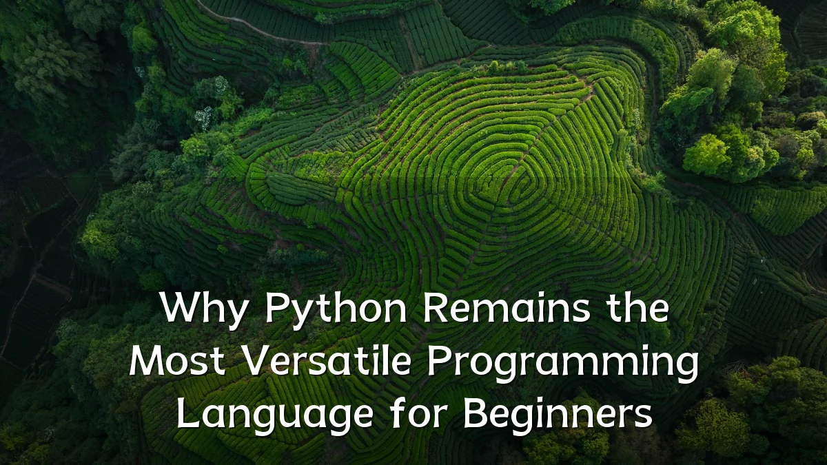 Why Python Remains the Most Versatile Programming Language for Beginners