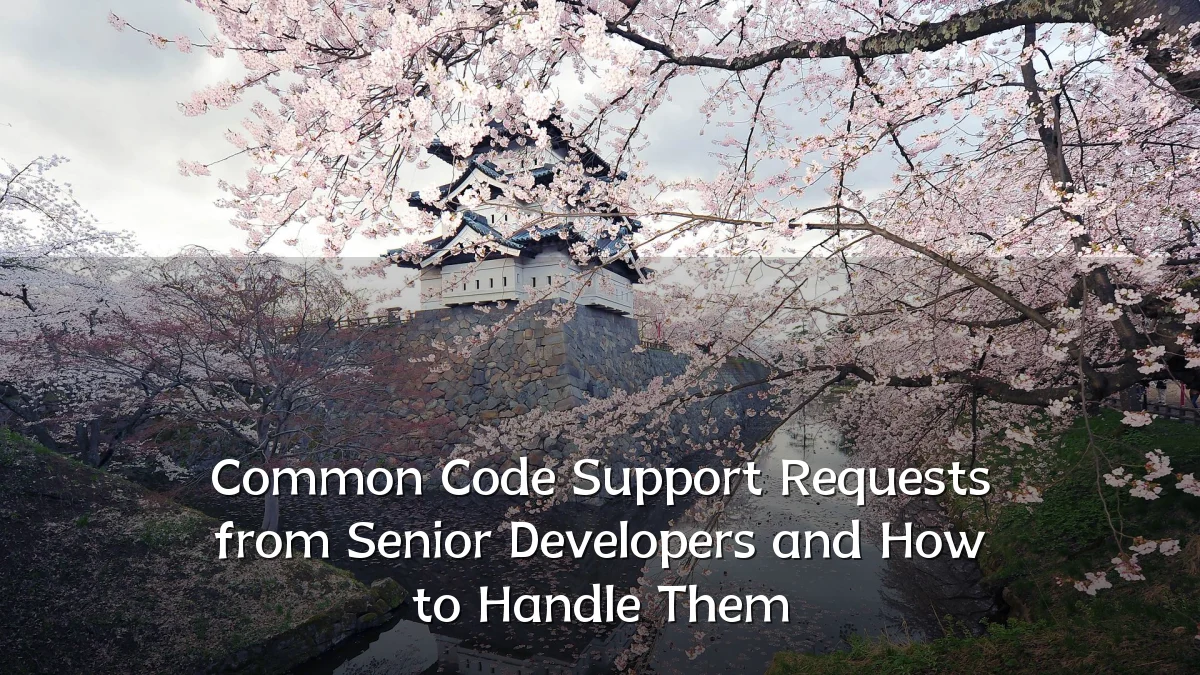 Common Code Support Requests from Senior Developers and How to Handle Them