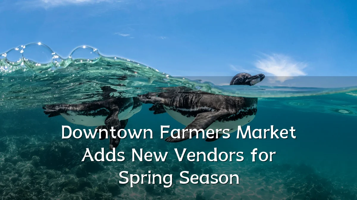 Downtown Farmers Market Adds New Vendors for Spring Season