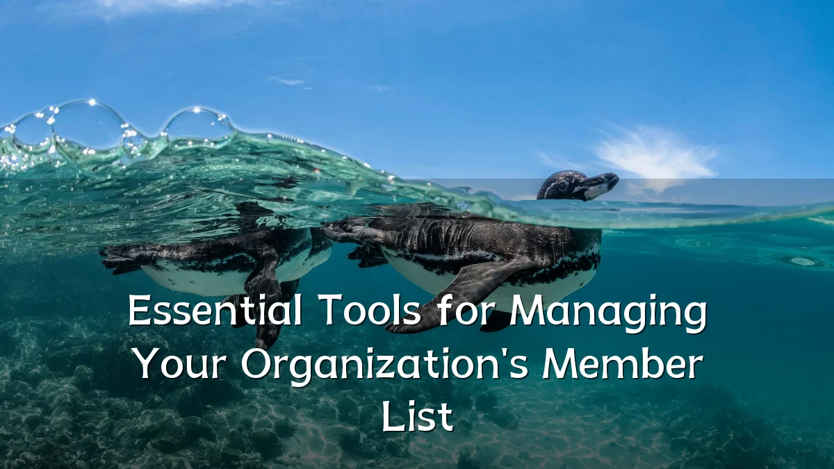 Essential Tools for Managing Your Organization's Member List