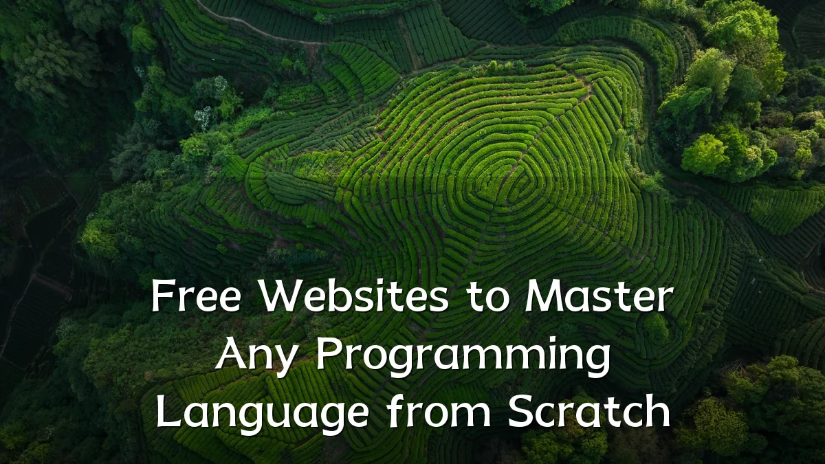 Free Websites to Master Any Programming Language from Scratch