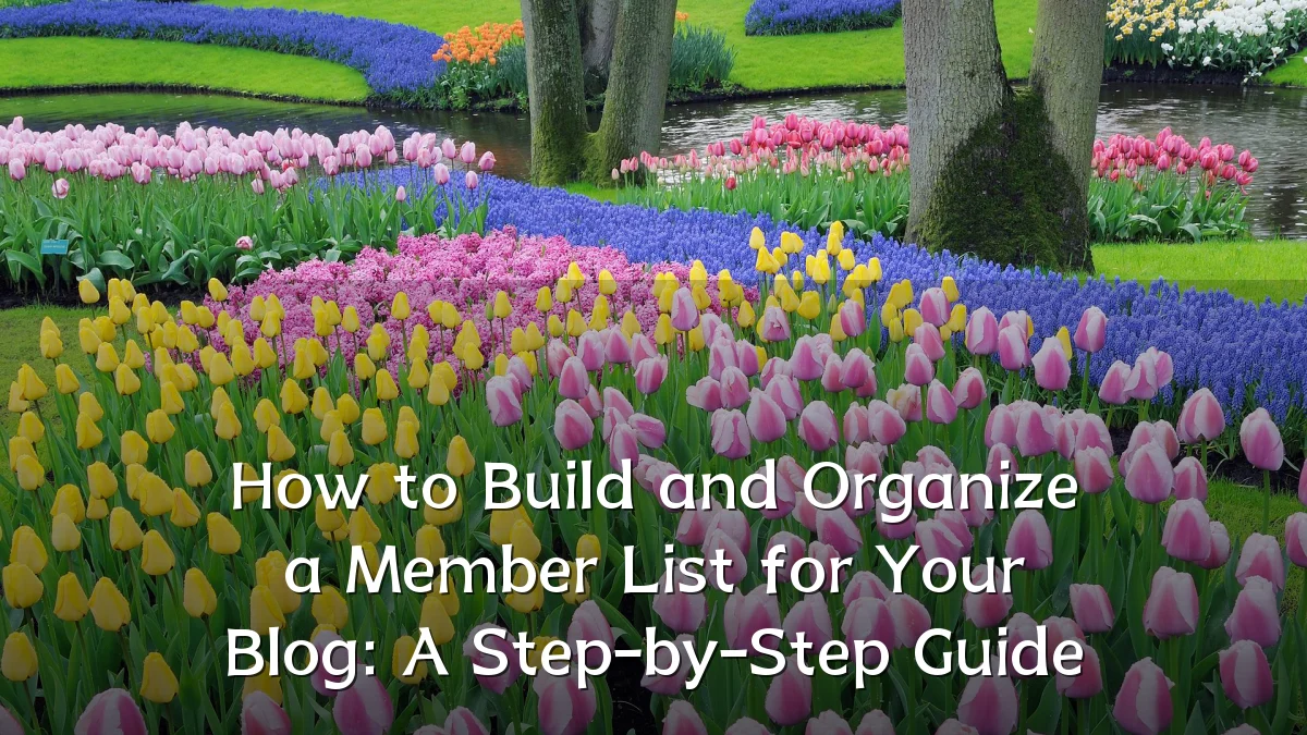 How to Build and Organize a Member List for Your Blog: A Step-by-Step Guide