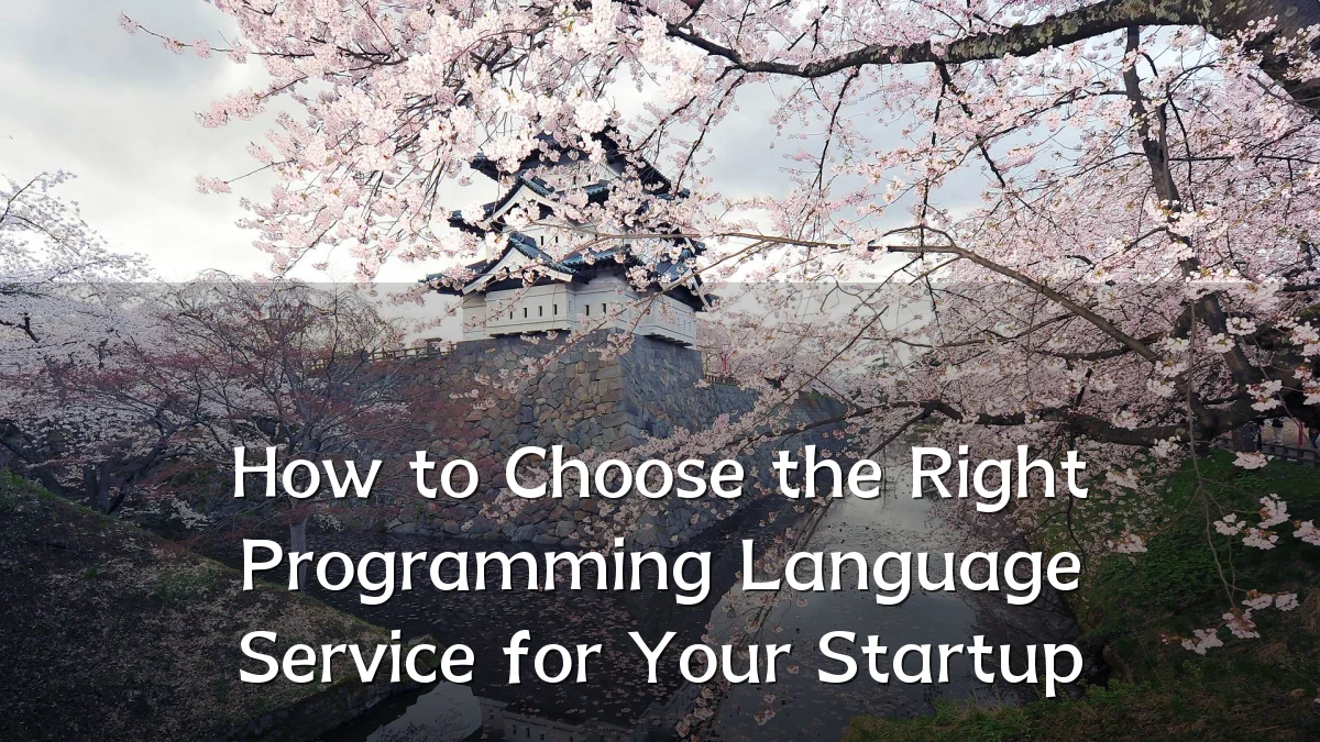 How to Choose the Right Programming Language Service for Your Startup