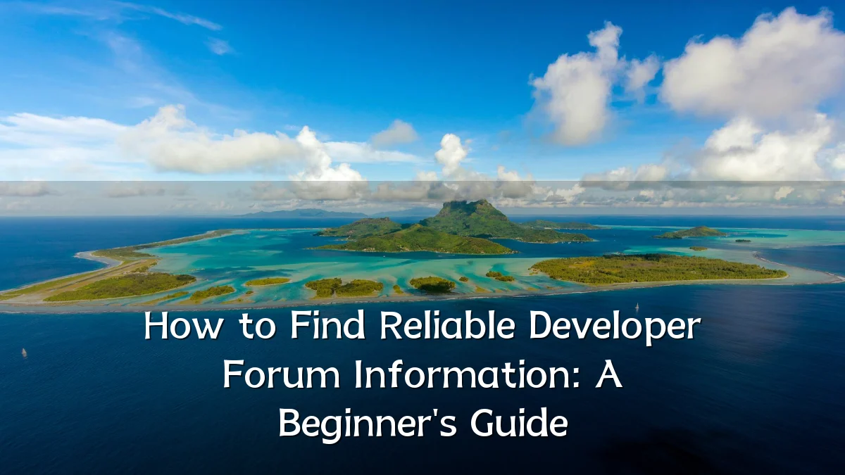 How to Find Reliable Developer Forum Information: A Beginner's Guide