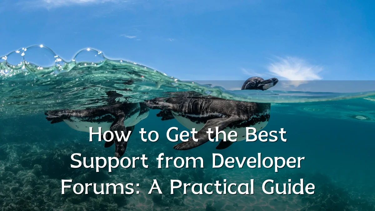 How to Get the Best Support from Developer Forums: A Practical Guide