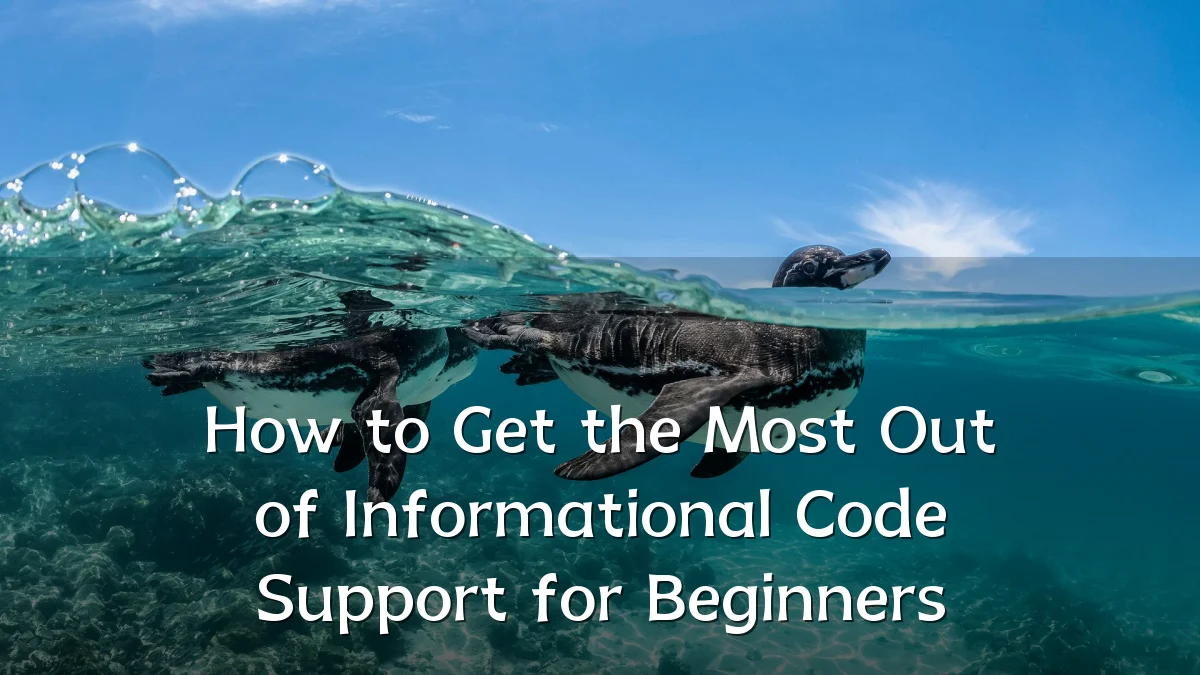 How to Get the Most Out of Informational Code Support for Beginners