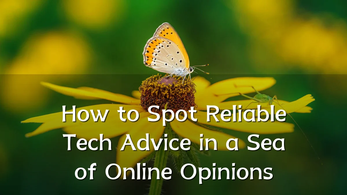 How to Spot Reliable Tech Advice in a Sea of Online Opinions