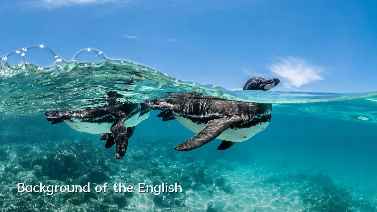 Background of the English