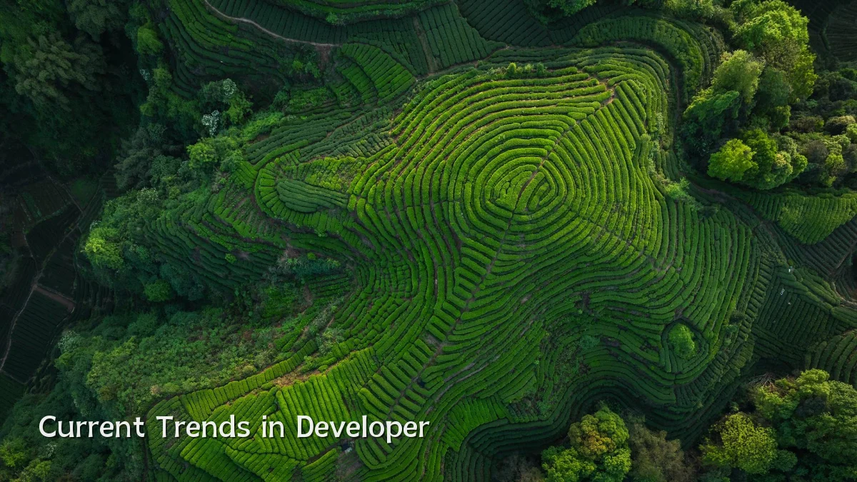 Current Trends in Developer