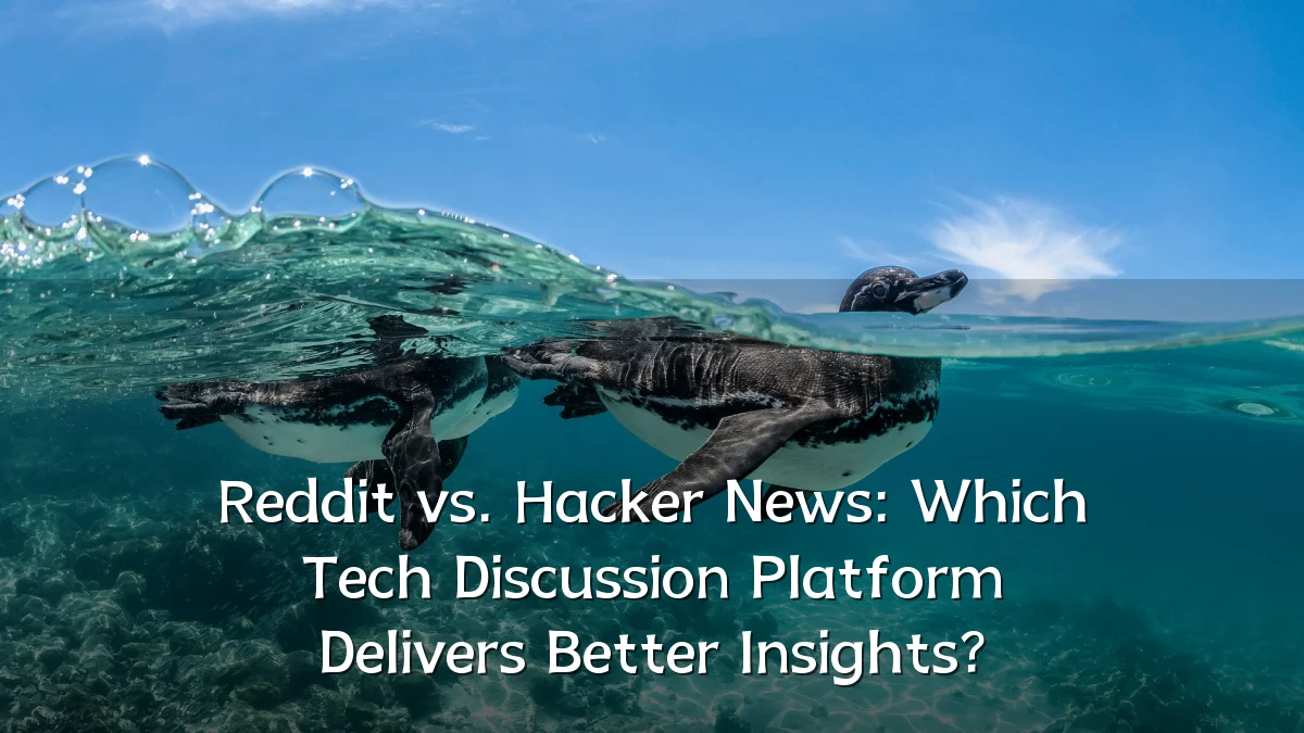 Reddit vs. Hacker News: Which Tech Discussion Platform Delivers Better Insights?