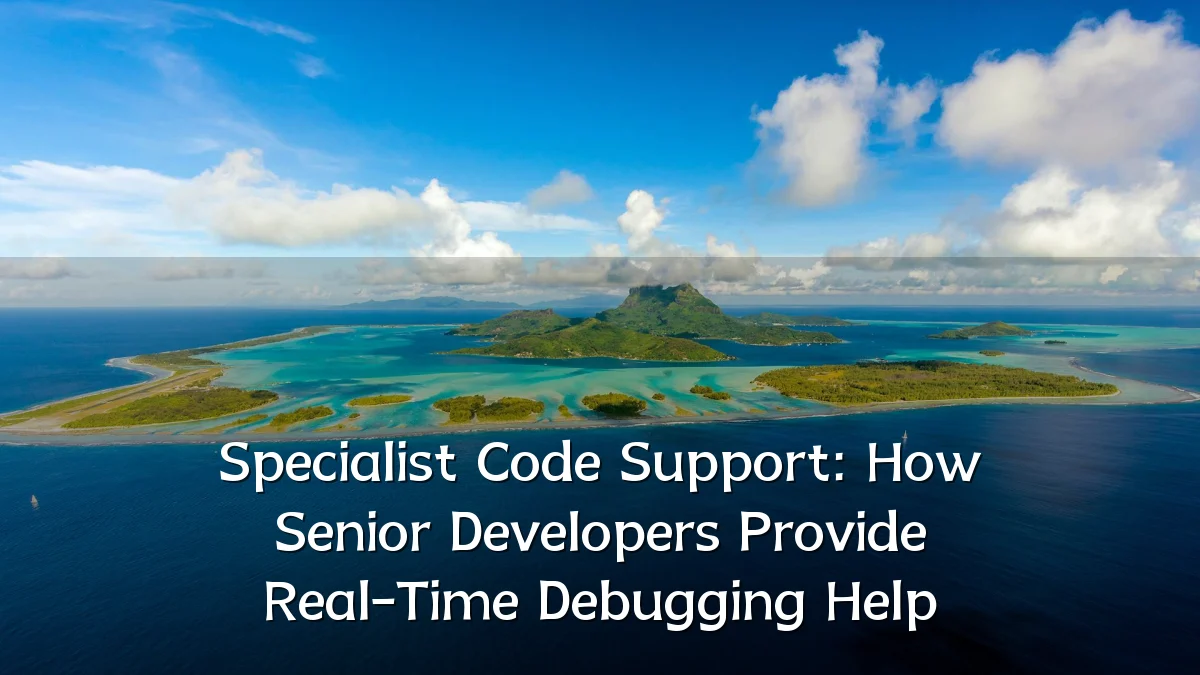 Specialist Code Support: How Senior Developers Provide Real-Time Debugging Help