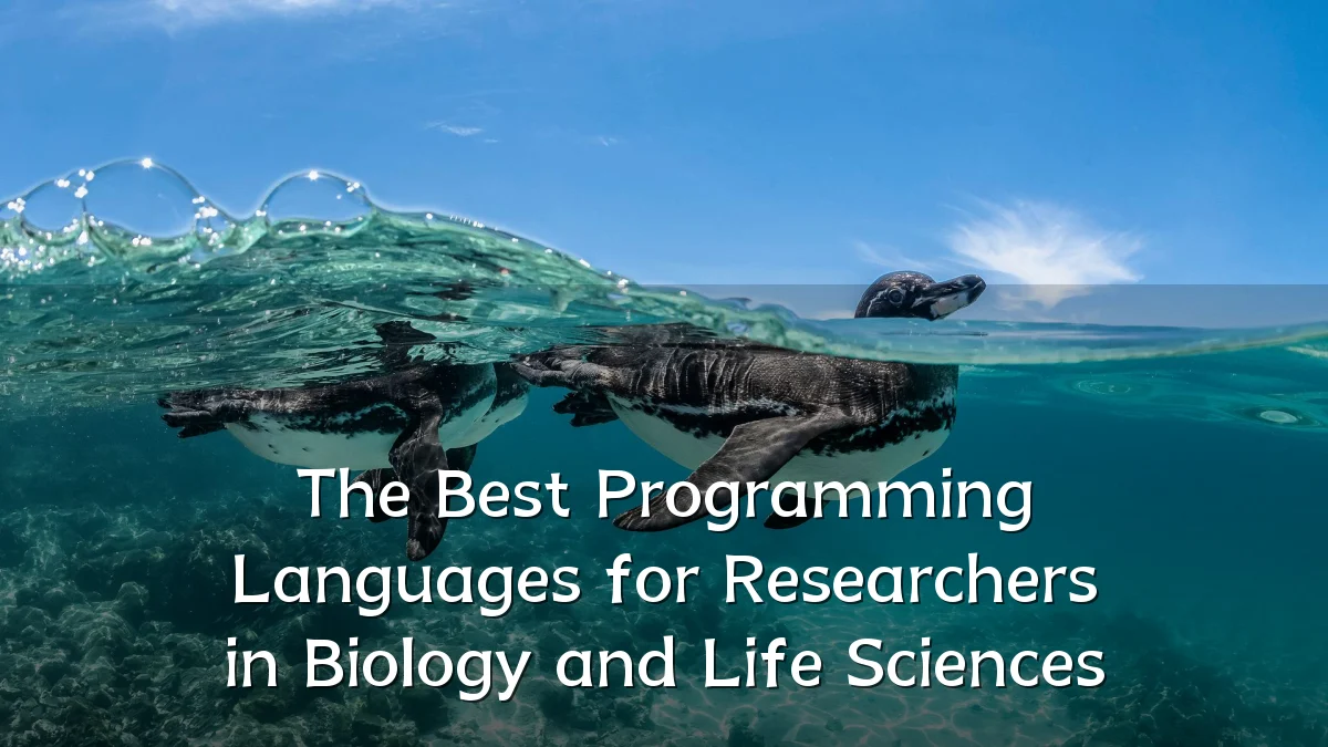 The Best Programming Languages for Researchers in Biology and Life Sciences