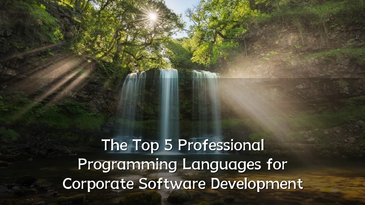 The Top 5 Professional Programming Languages for Corporate Software Development