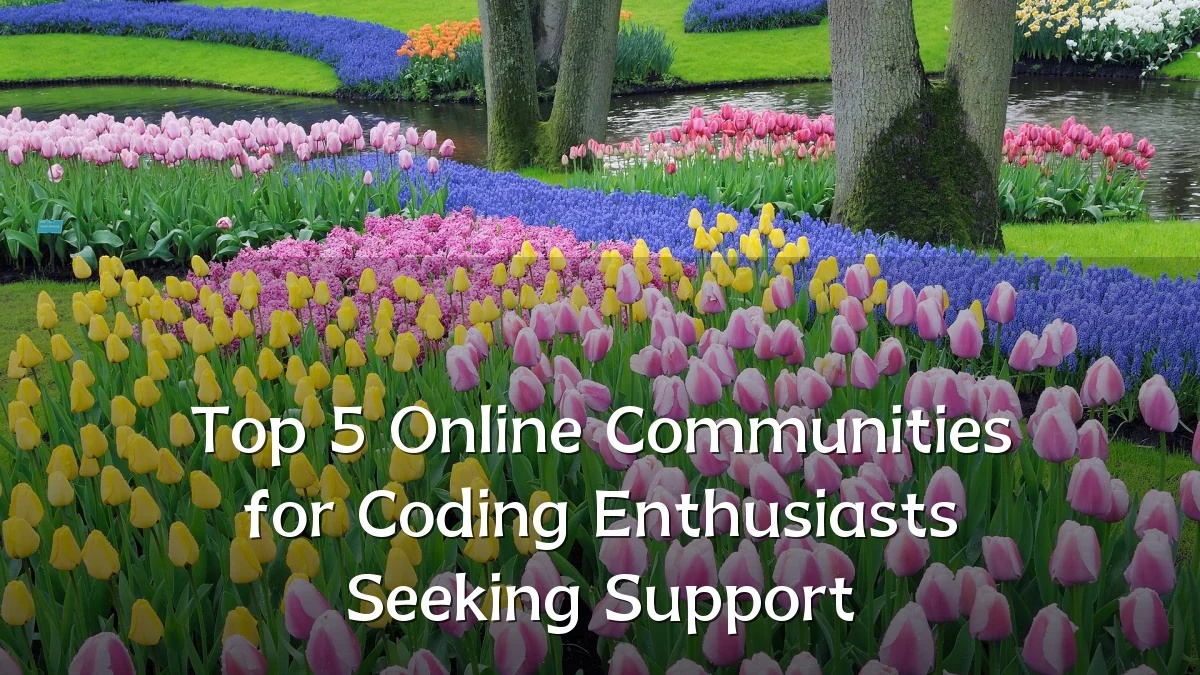 Top 5 Online Communities for Coding Enthusiasts Seeking Support
