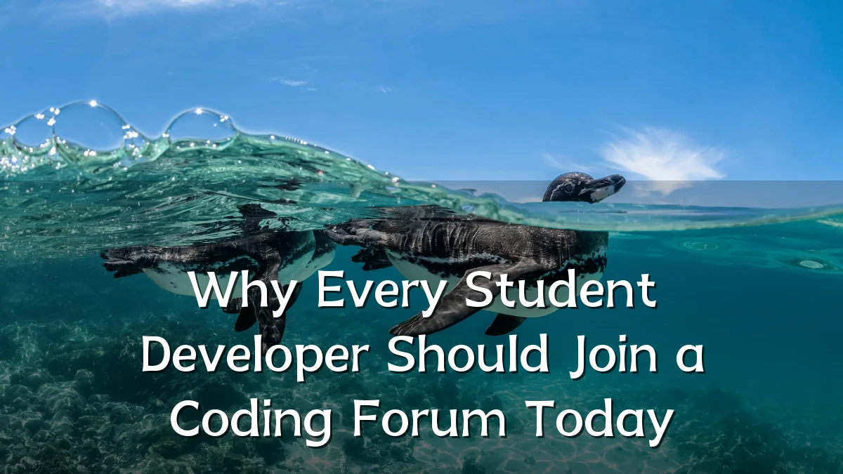 Why Every Student Developer Should Join a Coding Forum Today