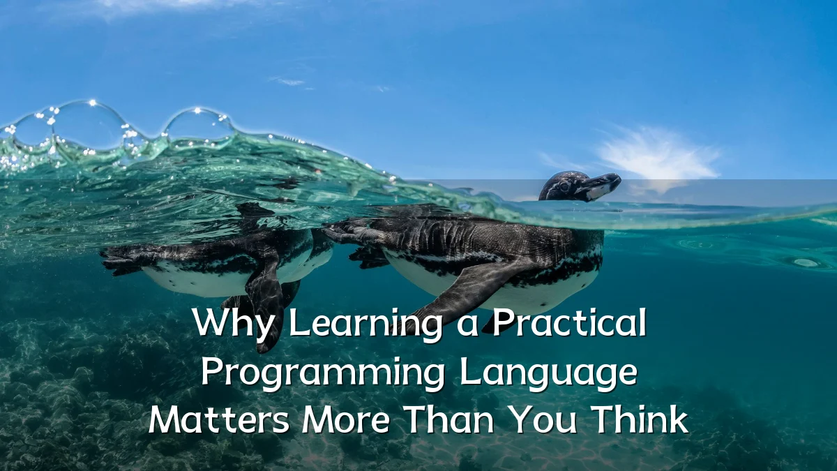 Why Learning a Practical Programming Language Matters More Than You Think