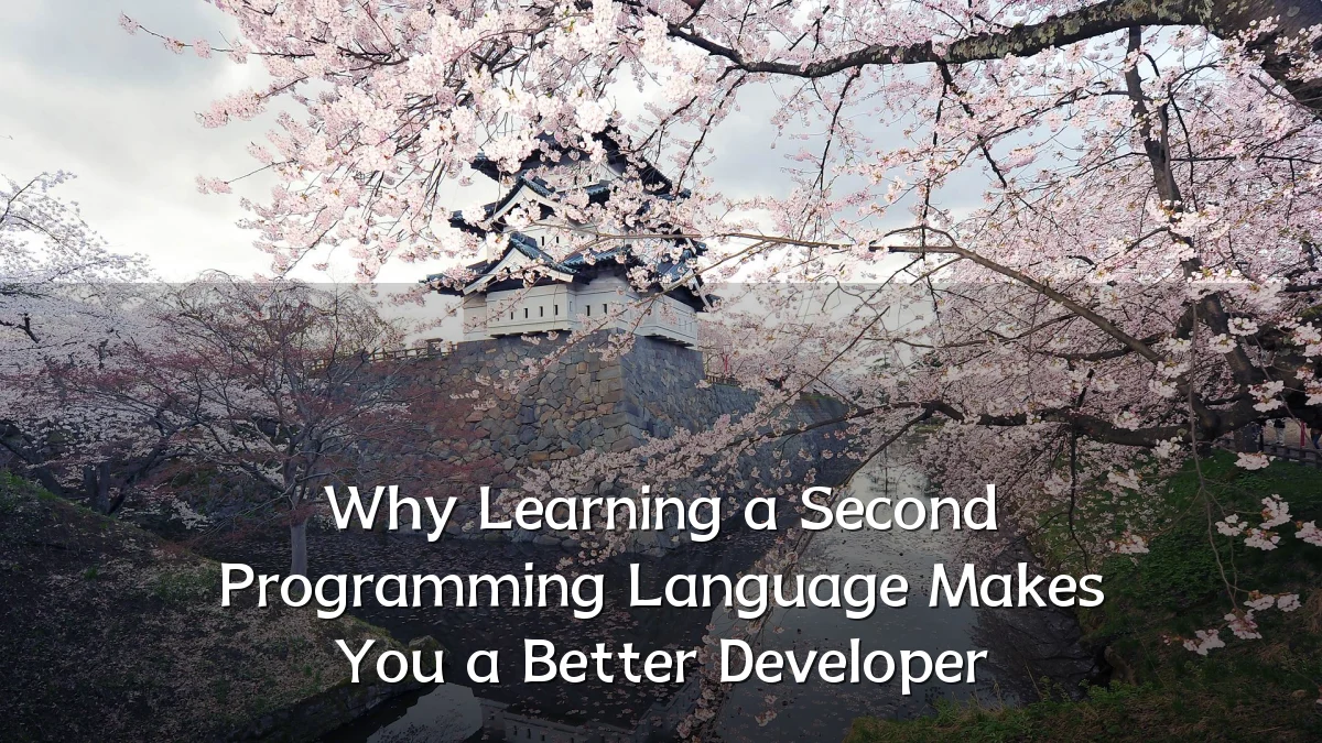 Why Learning a Second Programming Language Makes You a Better Developer