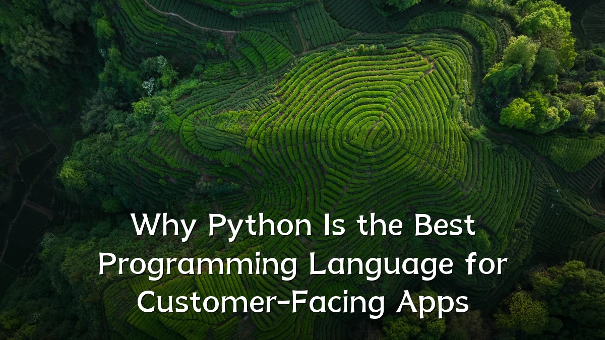 Why Python Is the Best Programming Language for Customer-Facing Apps