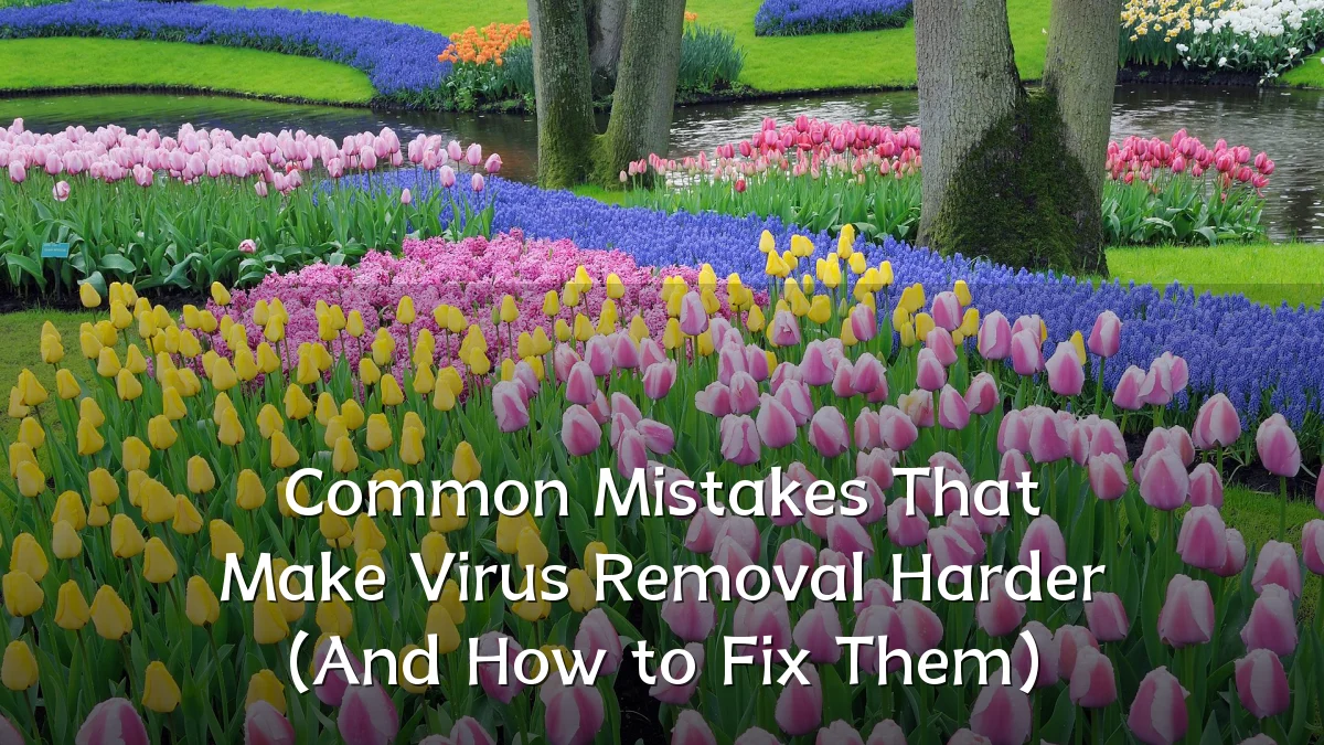 Common Mistakes That Make Virus Removal Harder (And How to Fix Them)