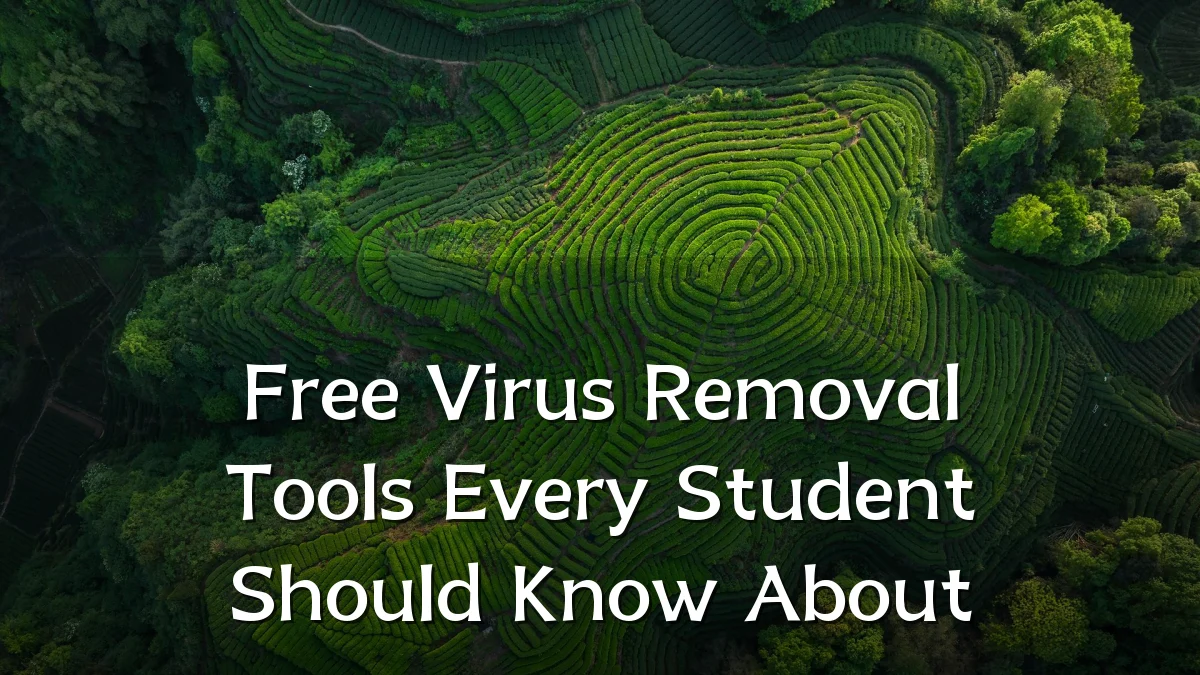 Free Virus Removal Tools Every Student Should Know About