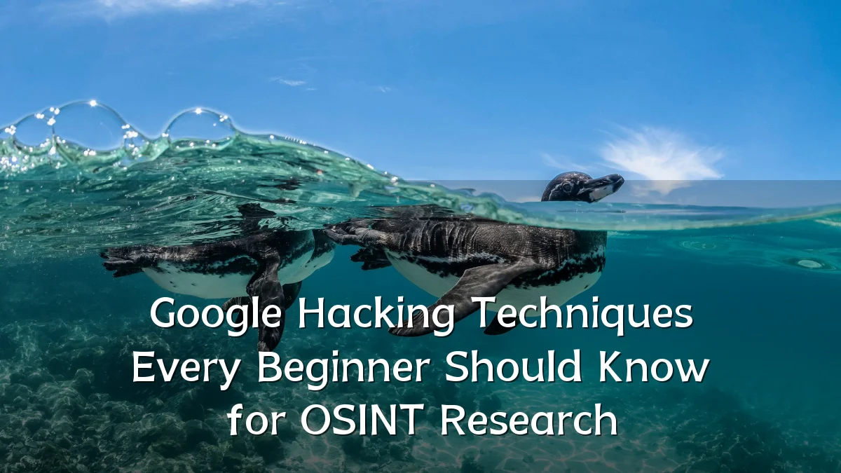 Google Hacking Techniques Every Beginner Should Know for OSINT Research