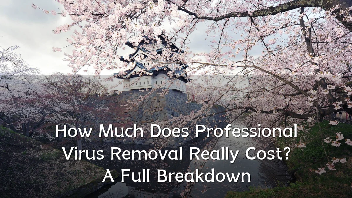 How Much Does Professional Virus Removal Really Cost? A Full Breakdown