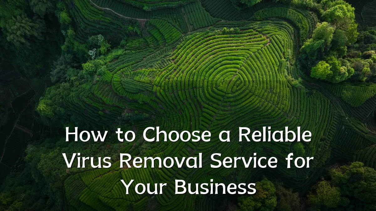 How to Choose a Reliable Virus Removal Service for Your Business