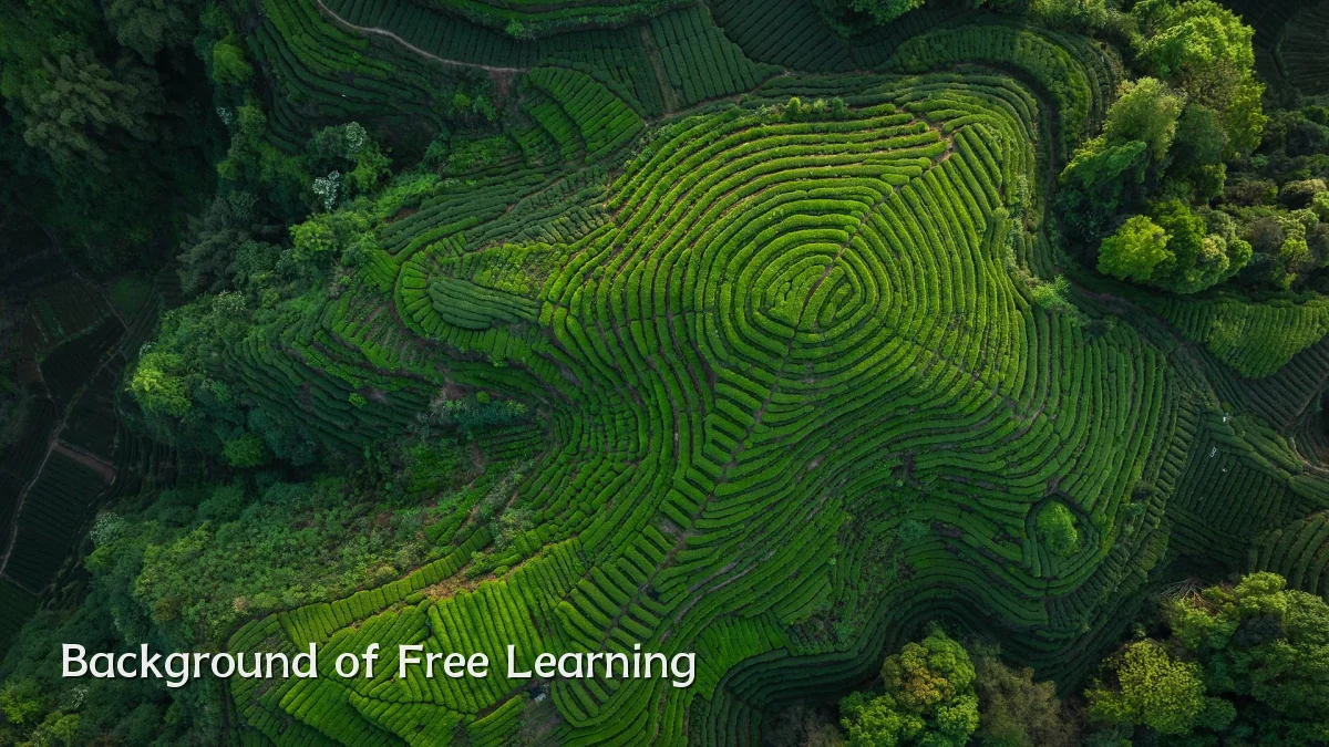 Background of Free Learning