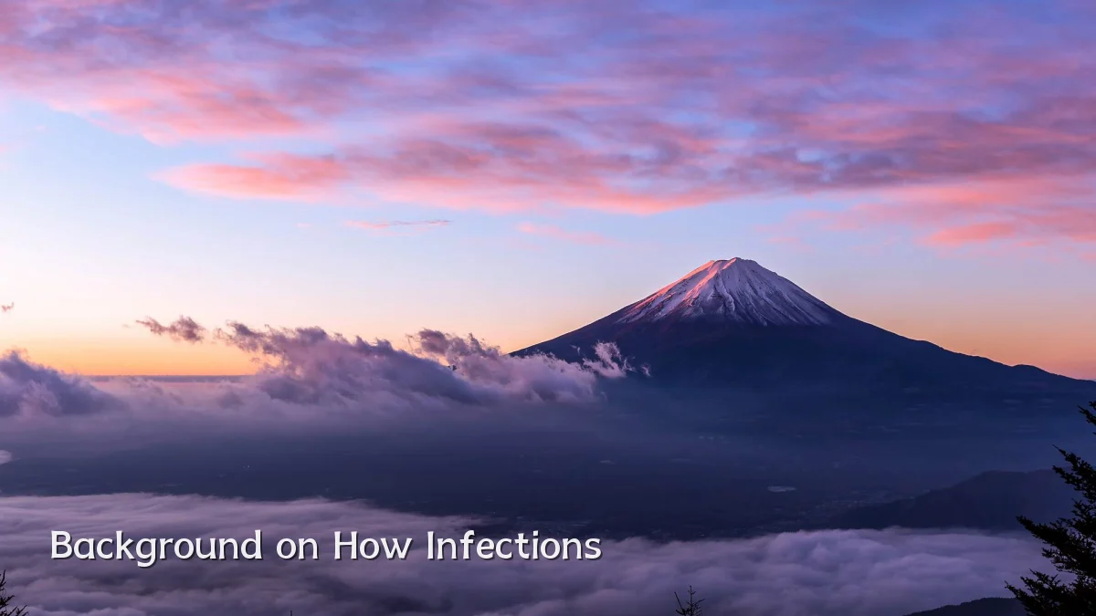Background on How Infections