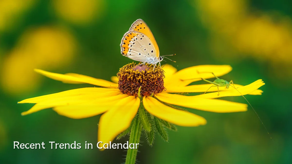 Recent Trends in Calendar