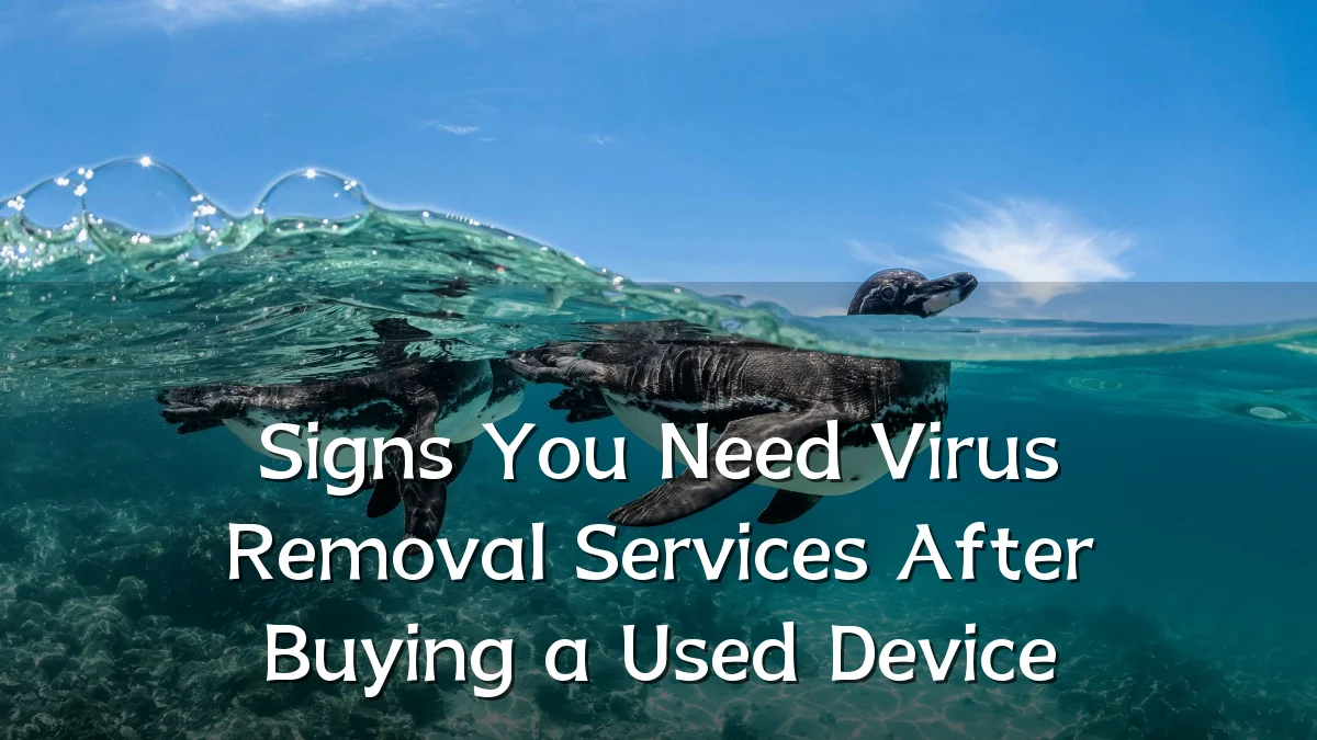 Signs You Need Virus Removal Services After Buying a Used Device