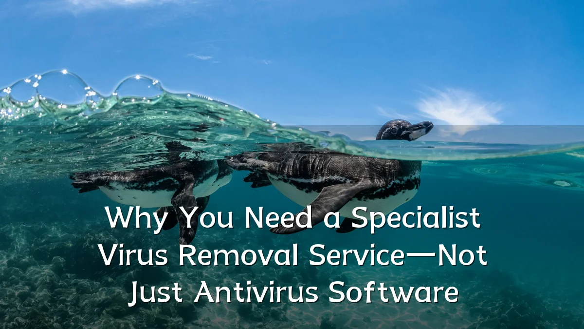 Why You Need a Specialist Virus Removal Service—Not Just Antivirus Software