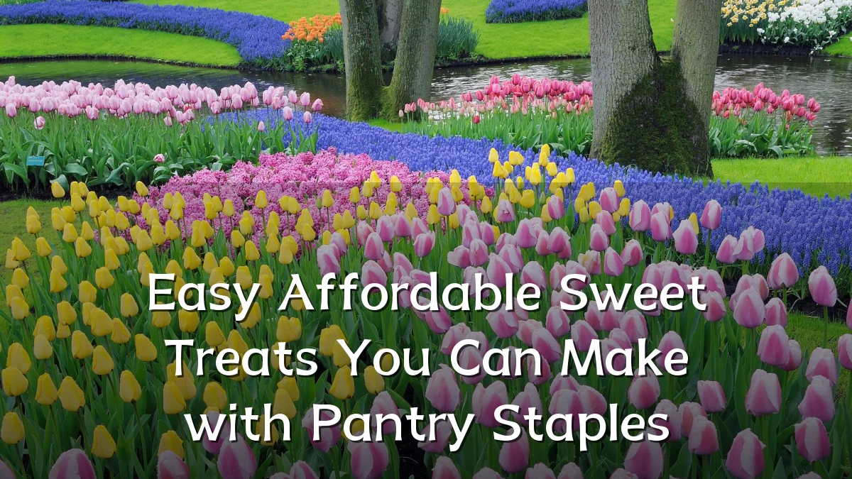Easy Affordable Sweet Treats You Can Make with Pantry Staples